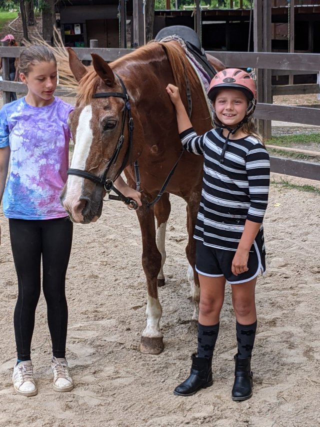 Horse camp